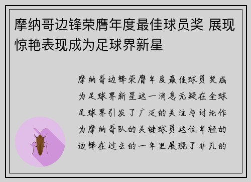 摩纳哥边锋荣膺年度最佳球员奖 展现惊艳表现成为足球界新星