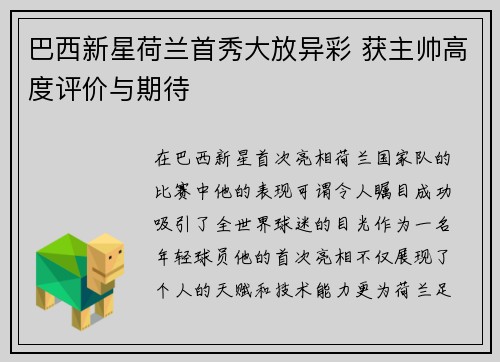 巴西新星荷兰首秀大放异彩 获主帅高度评价与期待