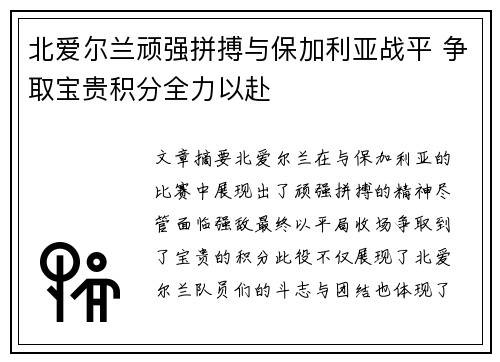北爱尔兰顽强拼搏与保加利亚战平 争取宝贵积分全力以赴